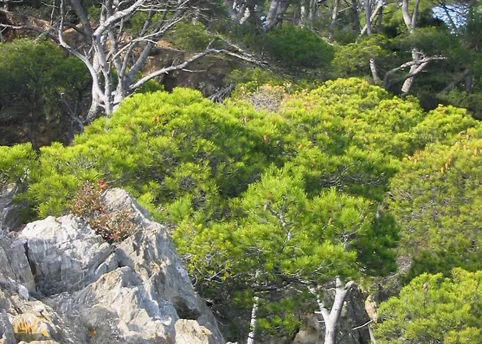 A Giens Vue Porquerolles *